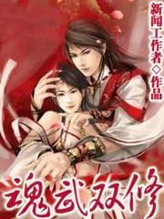 魂武雙修