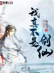 我真不是劍仙