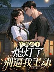 閃婚高幹：熄燈了，別逼我主動