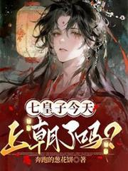 七皇子今天上朝了嗎？