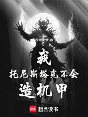 我，托尼斯塔克，不會造機甲！