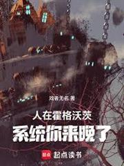 霍格沃茨：都教授了新手系統才來