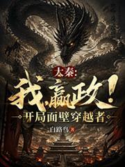 大秦：我，嬴政！開局面壁穿越者