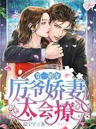 第一婚寵：厲爺嬌妻太會撩溫寧厲