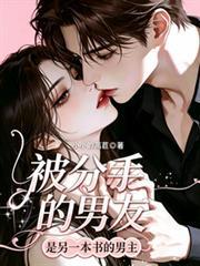 被分手的男友是另一本書男主