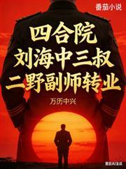 四合院，劉海中三叔二野副師轉業