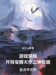 遊戲穿越：開局覺醒天空之神權能