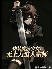 偽裝魔法少女：無上力道大宗師