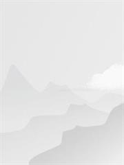吾斧利否的第5本書