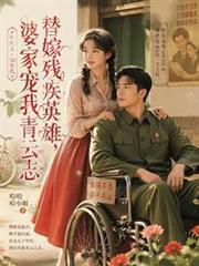 替嫁殘疾英雄，婆家寵我青雲志