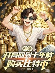 神豪：開局回到十年前購買比特幣