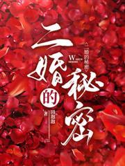 二婚的秘密