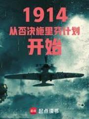 1914從否決施里芬計劃開始