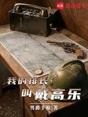 我的排長戴高樂
