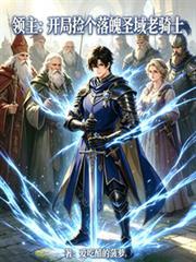 領主：開局撿個落魄聖域老騎士