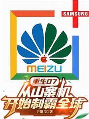 重生07：從山寨機開始制霸全球