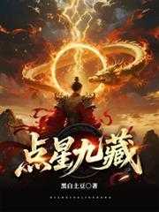 點星九藏