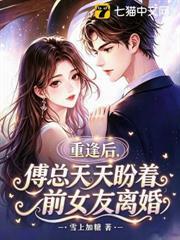 重逢後，傅總天天盼著前女友離婚