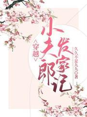 穿越小夫郎發家記