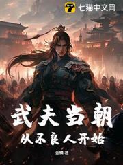 武夫當朝，從不良人開始