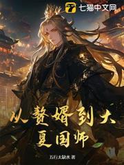 從贅婿到大夏國師