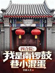 四合院：我是南鑼鼓巷小混蛋
