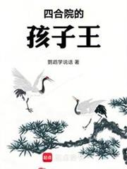 四合院：柱子的一生