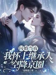 閃婚當夜，我懷上繼承人空降京圈
