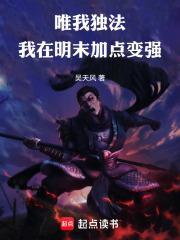 唯我獨法：我在明末加點變強