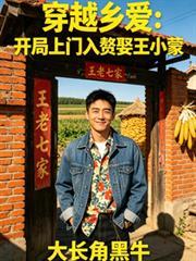 穿越鄉愛：開局上門入贅娶王小蒙