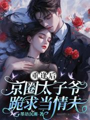重逢後，京圈太子爺跪求當情夫