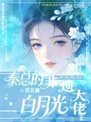秦總的非遺大佬白月光