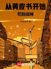 從黃皮書開始苟到成神