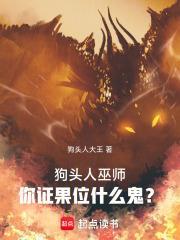 狗頭人巫師：你證果位什麼鬼？