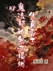HP：魔法部的包辦婚姻他真香了