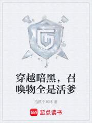 穿越暗黑，召喚物全是活爹