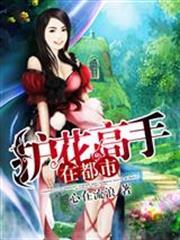 護花高手在都市