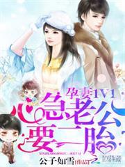 孕妻一加一