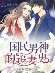 國民男神的追妻史