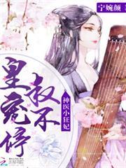 神醫王妃又又又翻牆了