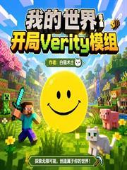 我的世界：開局verity模組