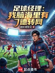 足球經理：我腦海里有德轉網