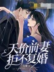 天價前妻拒不復婚葉眠喬湛北