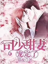 司少甜妻寵定了
