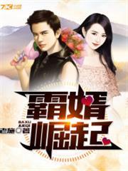 霸婿崛起