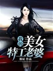 我的美女特工老婆