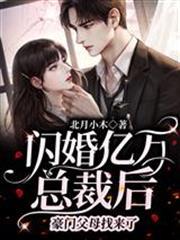 閃婚億萬總裁後，豪門父母找來了