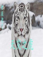 天災之虎