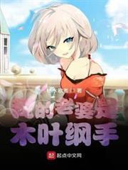 我的老婆是木葉綱手
