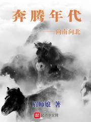 奔騰年代——向南向北